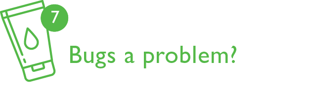 7. Bugs A Problem